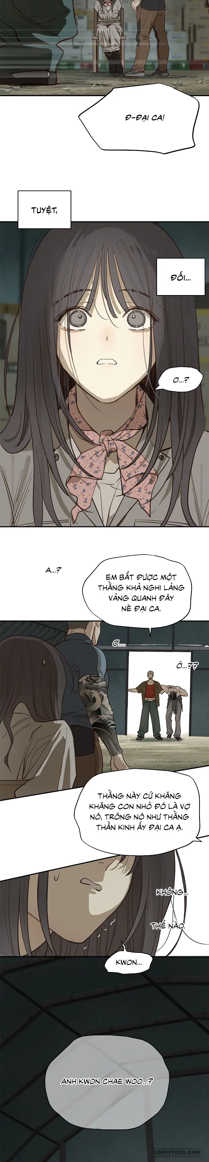 [19+] Đóa Hoa Là Mồi Nhử - Chap 41 - Trang 8