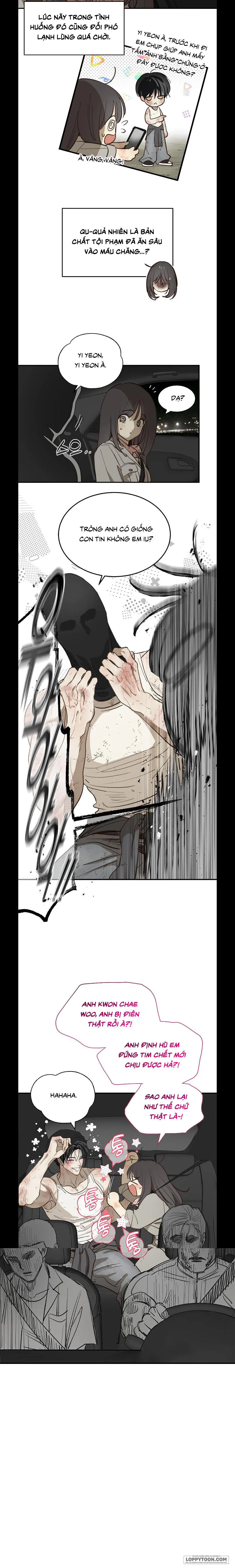 [19+] Đóa Hoa Là Mồi Nhử - Chap 42 - Trang 11