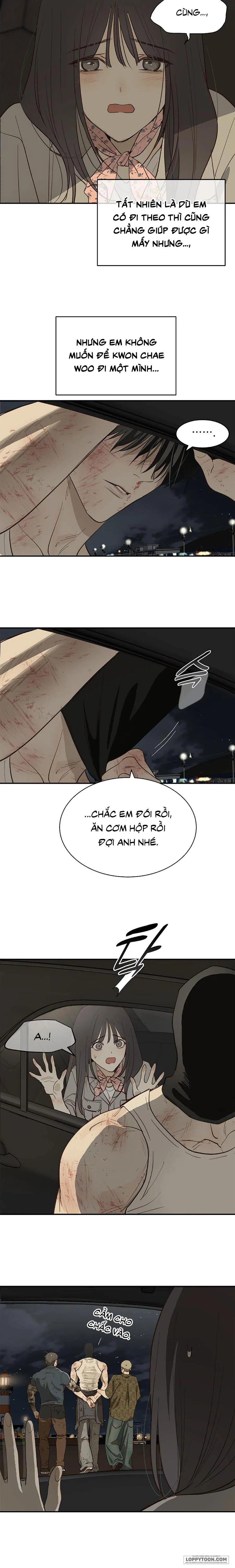 [19+] Đóa Hoa Là Mồi Nhử - Chap 42 - Trang 13