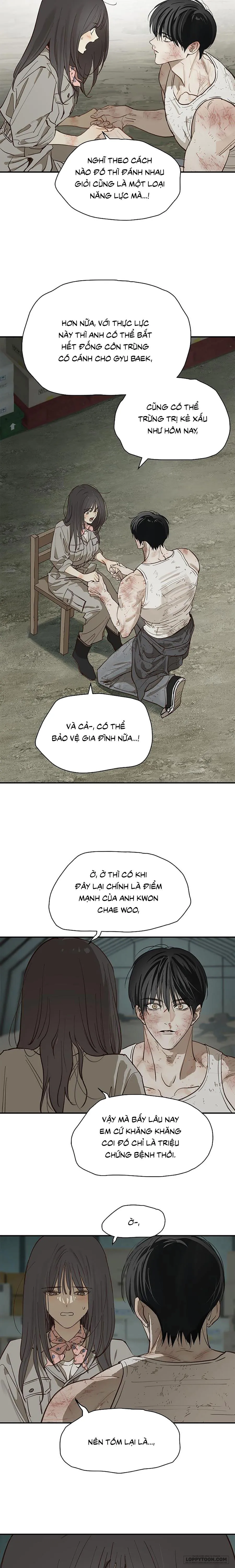 [19+] Đóa Hoa Là Mồi Nhử - Chap 42 - Trang 3