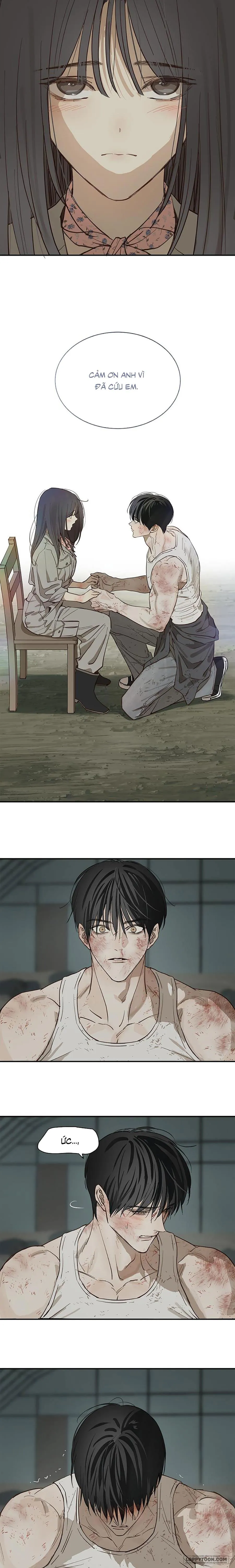 [19+] Đóa Hoa Là Mồi Nhử - Chap 42 - Trang 4