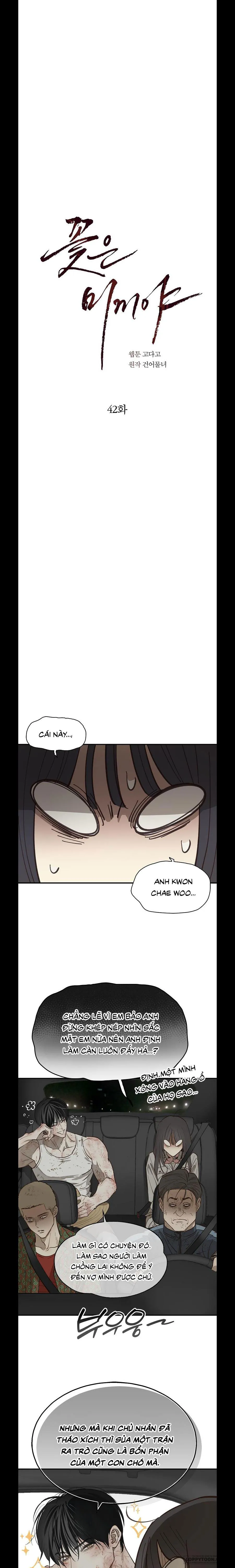 [19+] Đóa Hoa Là Mồi Nhử - Chap 42 - Trang 9