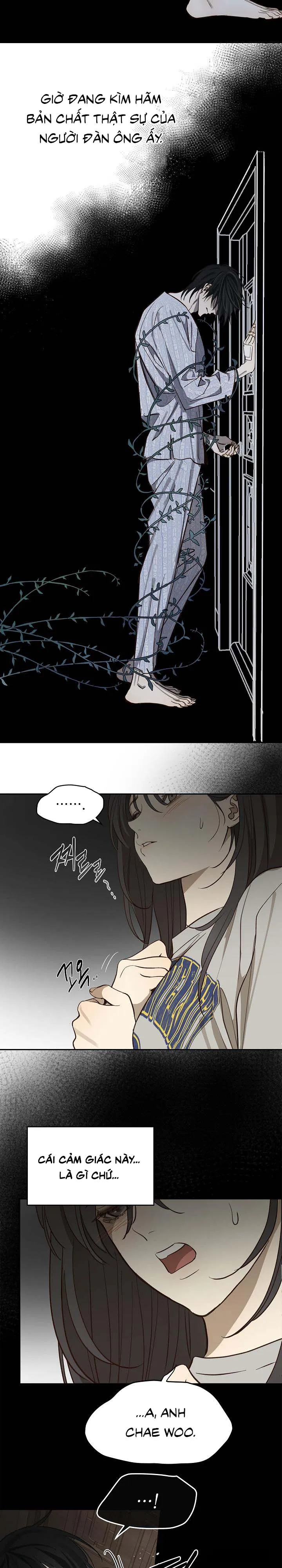 [19+] Đóa Hoa Là Mồi Nhử - Chap 8 - Trang 18