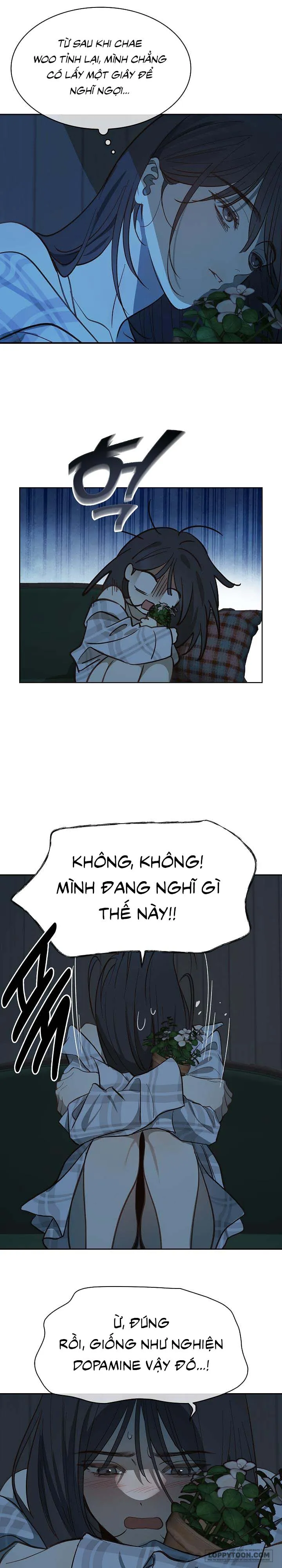 [19+] Đóa Hoa Là Mồi Nhử - Chap 9 - Trang 19