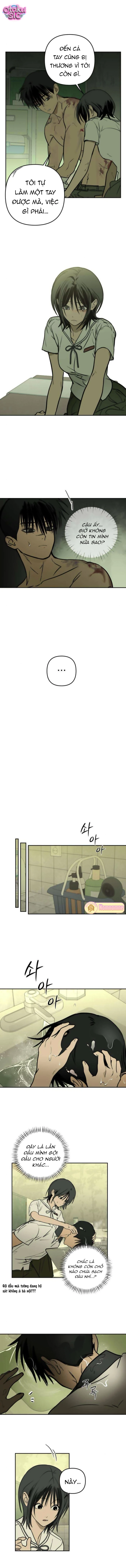 Ánh Nắng Nơi Hầm Trú Ẩn - Chap 19 - Trang 5