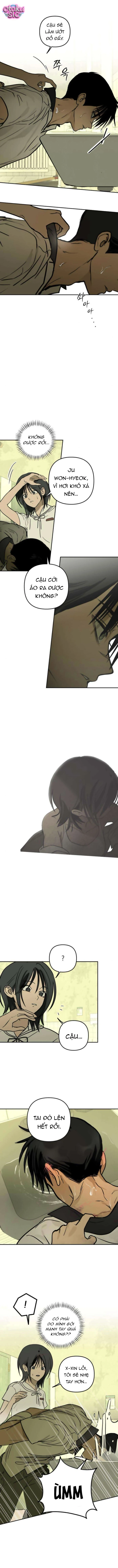 Ánh Nắng Nơi Hầm Trú Ẩn - Chap 19 - Trang 6