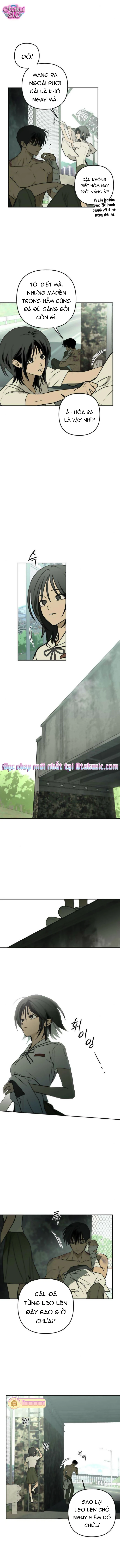 Ánh Nắng Nơi Hầm Trú Ẩn - Chap 19 - Trang 8