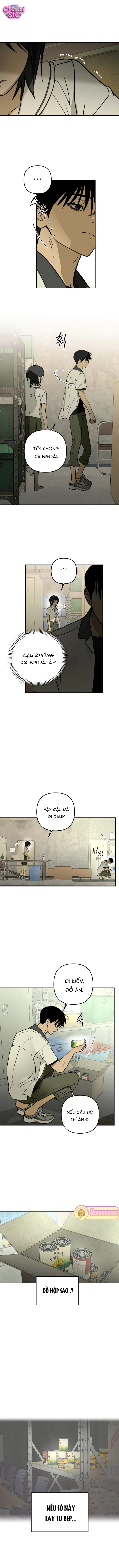 Ánh Nắng Nơi Hầm Trú Ẩn - Chap 8 - Trang 4