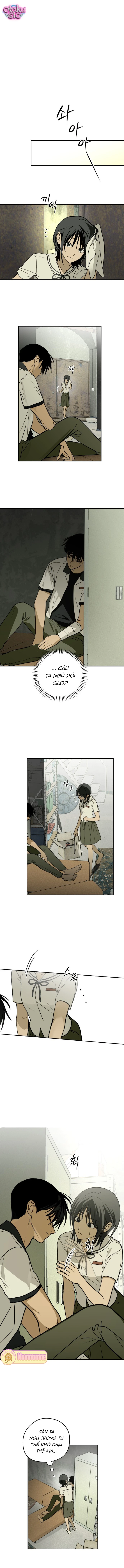 Ánh Nắng Nơi Hầm Trú Ẩn - Chap 8 - Trang 6