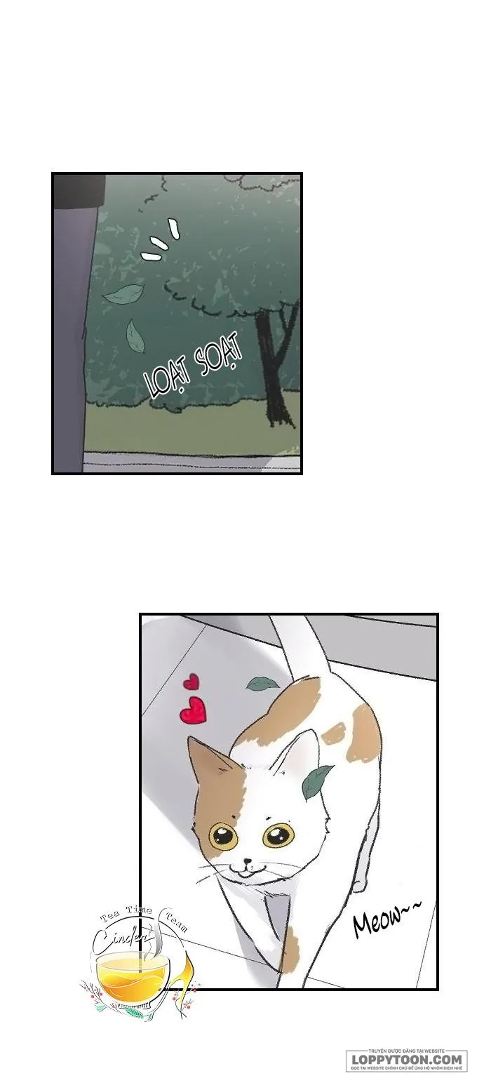 Ba Anh Trai Cực Phẩm Của Tôi - Chap 4 - Trang 20