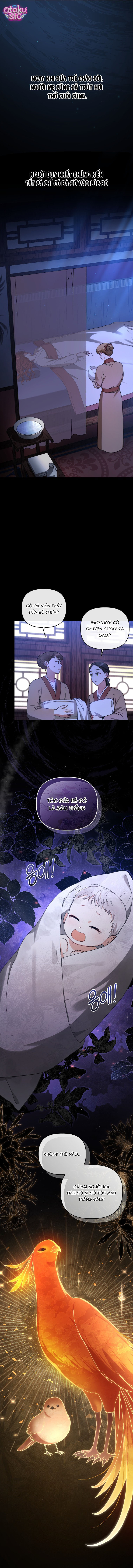 Bé Cưng Bông Xù Nhà Bạch Hổ - Chap 1 - Trang 12