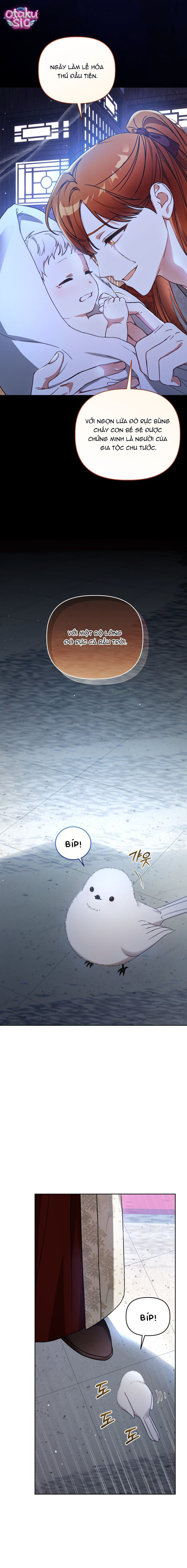 Bé Cưng Bông Xù Nhà Bạch Hổ - Chap 1 - Trang 16