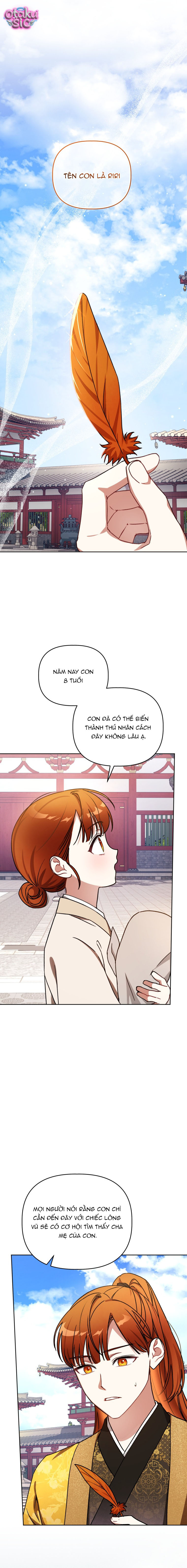 Bé Cưng Bông Xù Nhà Bạch Hổ - Chap 2 - Trang 3