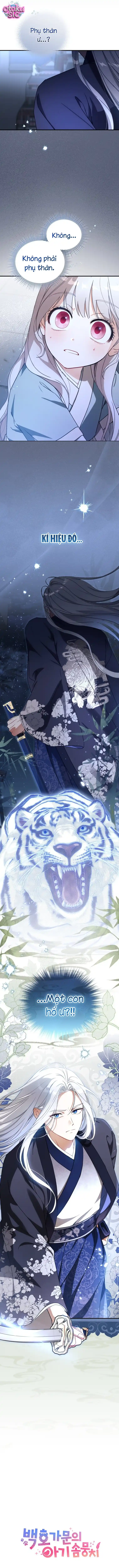 Bé Cưng Bông Xù Nhà Bạch Hổ - Chap 4 - Trang 17