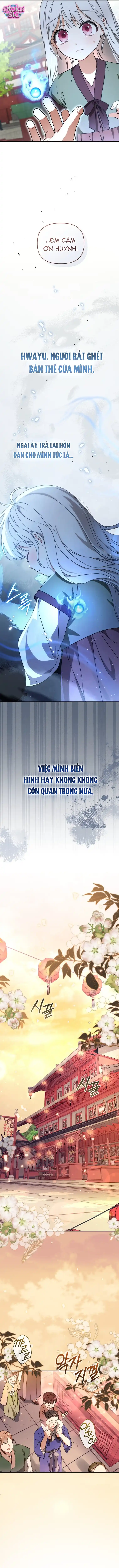 Bé Cưng Bông Xù Nhà Bạch Hổ - Chap 4 - Trang 6