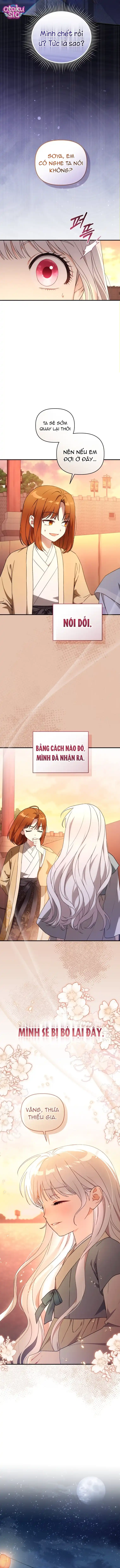 Bé Cưng Bông Xù Nhà Bạch Hổ - Chap 4 - Trang 10