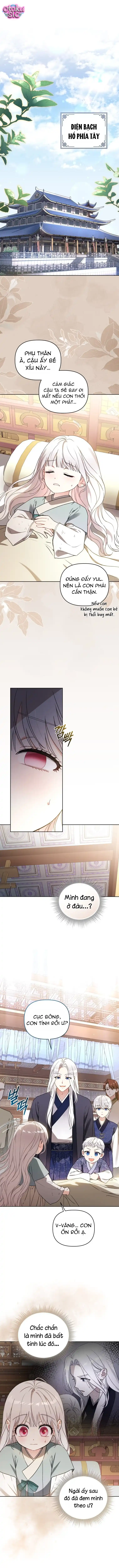 Bé Cưng Bông Xù Nhà Bạch Hổ - Chap 5 - Trang 15