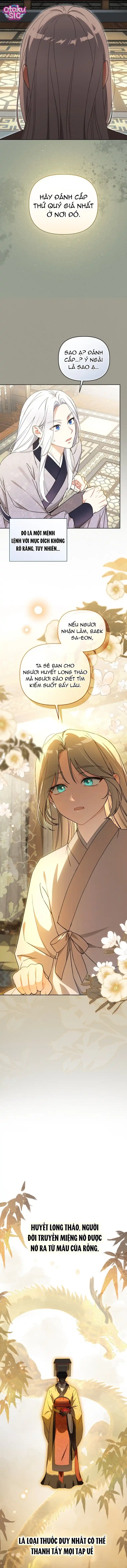 Bé Cưng Bông Xù Nhà Bạch Hổ - Chap 5 - Trang 4