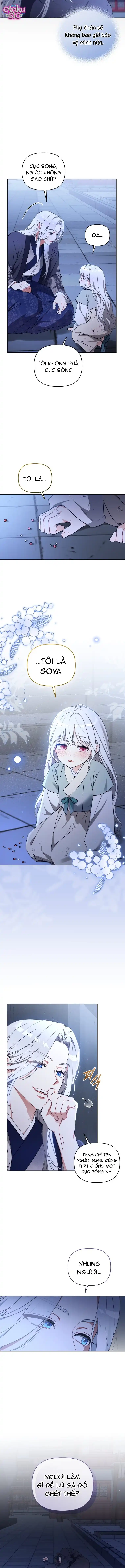 Bé Cưng Bông Xù Nhà Bạch Hổ - Chap 5 - Trang 8