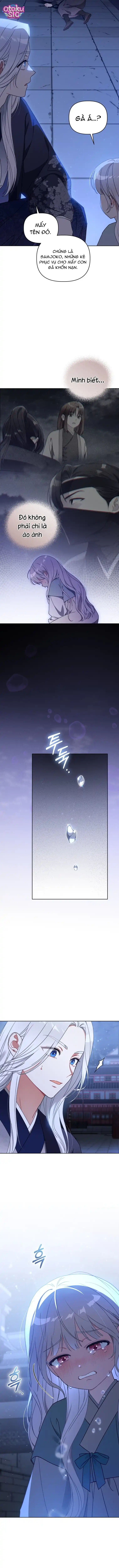 Bé Cưng Bông Xù Nhà Bạch Hổ - Chap 5 - Trang 9