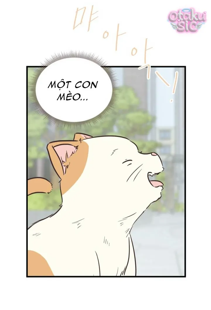 Chanh Mùa Hè - Chap 11 - Trang 55