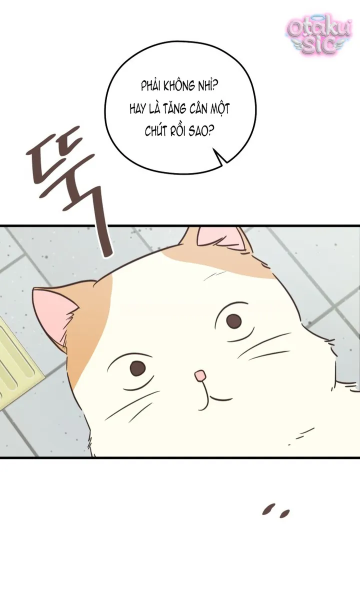 Chanh Mùa Hè - Chap 12 - Trang 9