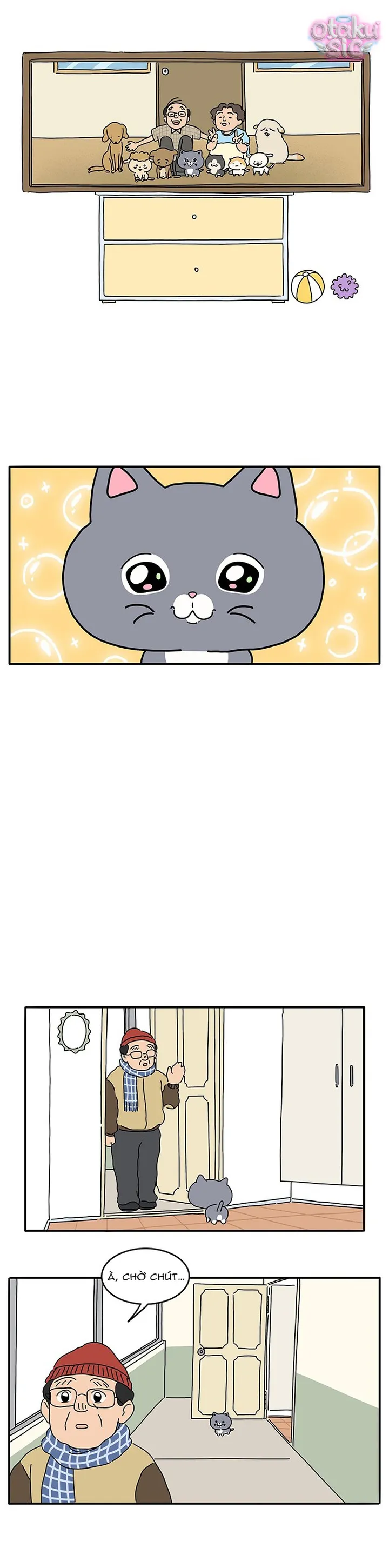 Chú Mèo Thần Tượng Dolly - Chap 1 - Trang 11