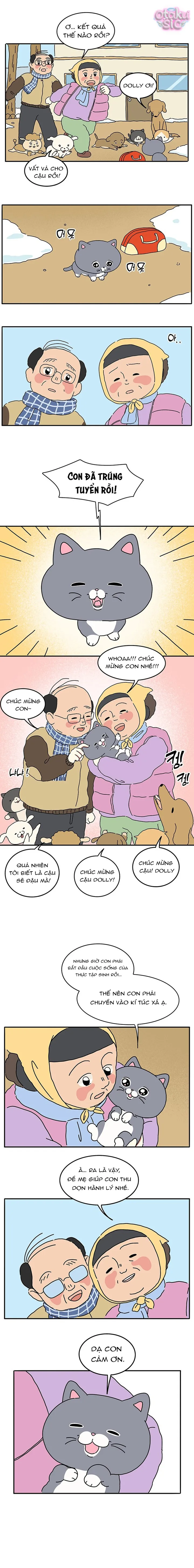 Chú Mèo Thần Tượng Dolly - Chap 1 - Trang 8