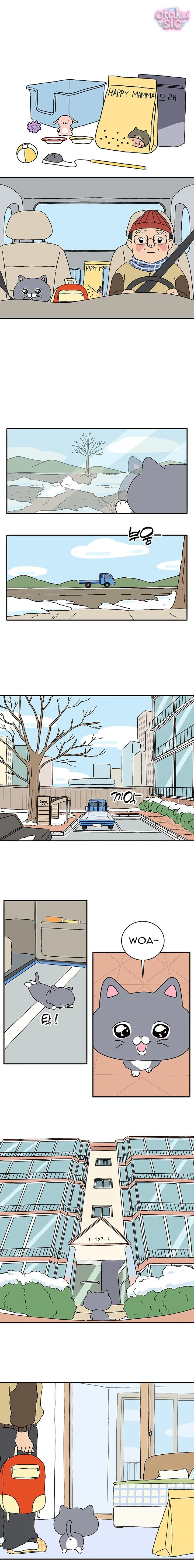 Chú Mèo Thần Tượng Dolly - Chap 1 - Trang 9