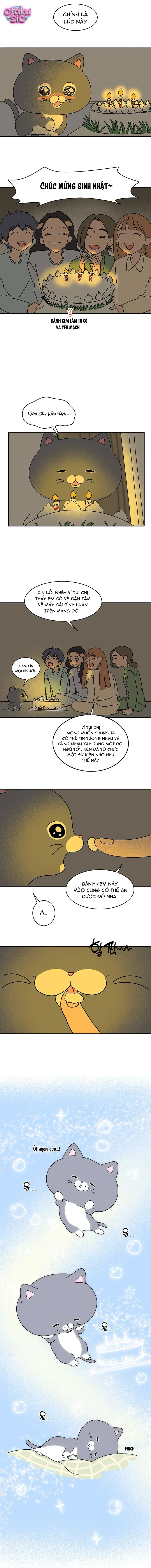 Chú Mèo Thần Tượng Dolly - Chap 3 - Trang 3