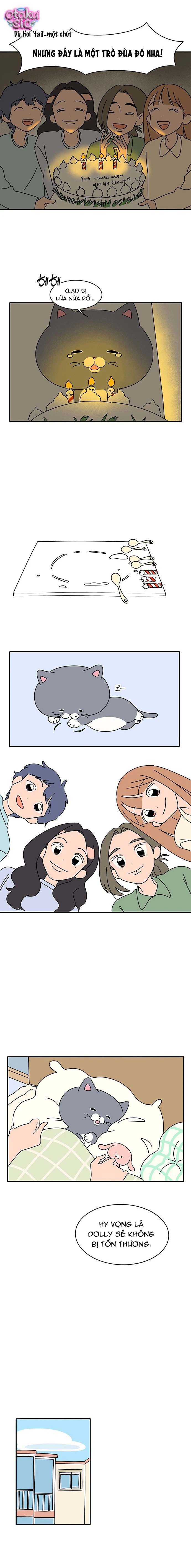 Chú Mèo Thần Tượng Dolly - Chap 3 - Trang 6