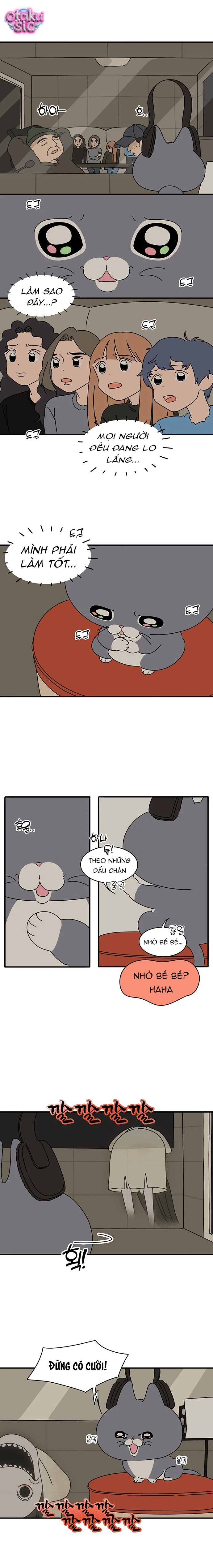 Chú Mèo Thần Tượng Dolly - Chap 4 - Trang 3