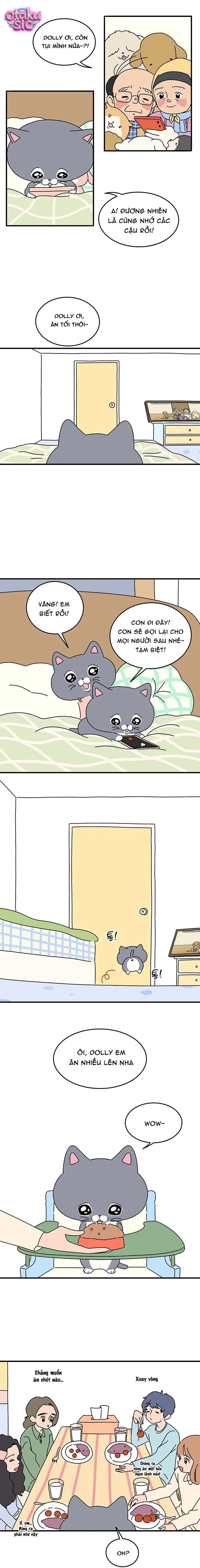 Chú Mèo Thần Tượng Dolly - Chap 5 - Trang 2