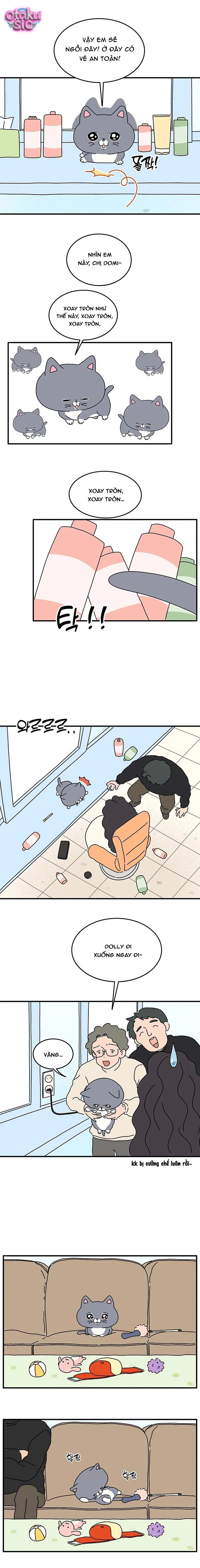 Chú Mèo Thần Tượng Dolly - Chap 5 - Trang 5