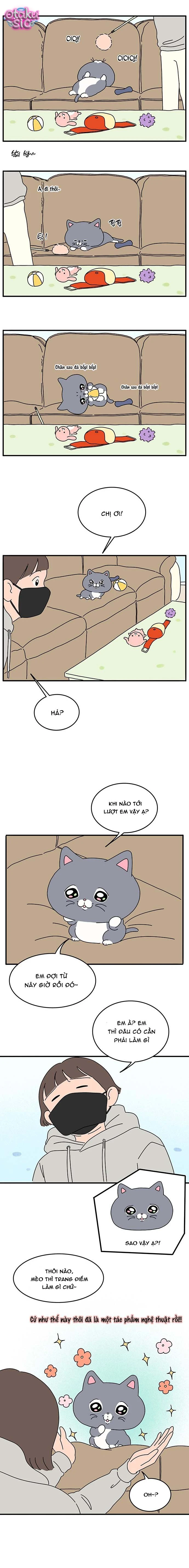 Chú Mèo Thần Tượng Dolly - Chap 5 - Trang 6