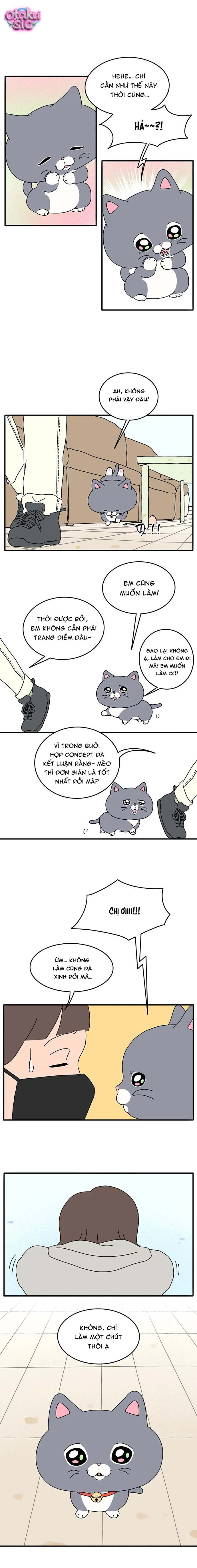 Chú Mèo Thần Tượng Dolly - Chap 5 - Trang 7