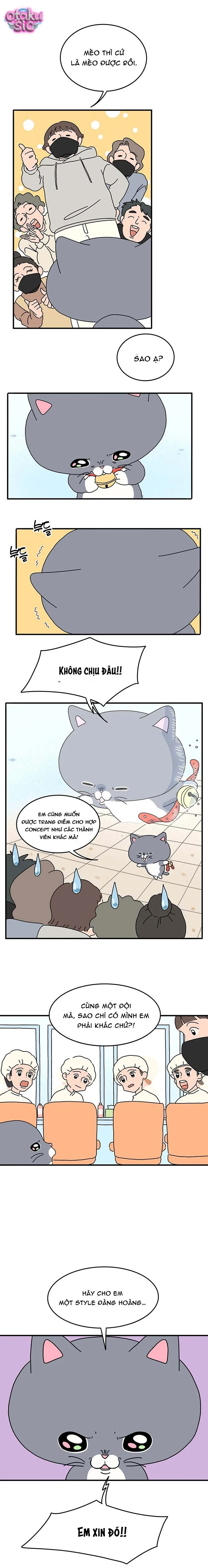 Chú Mèo Thần Tượng Dolly - Chap 5 - Trang 8