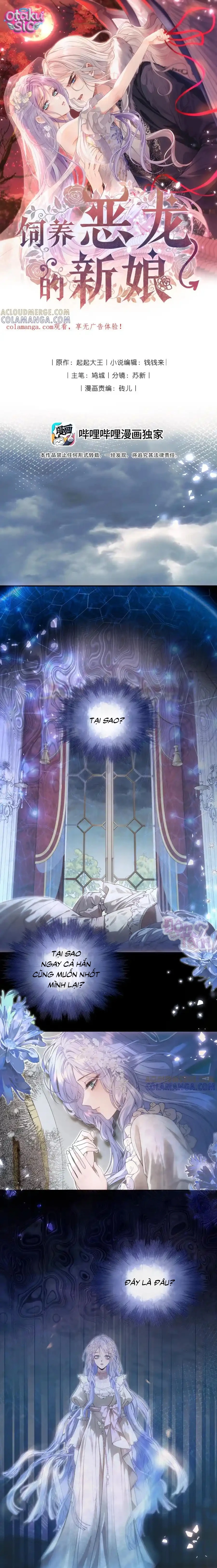 Cô Dâu Của Ác Long - Chap 13 - Trang 1