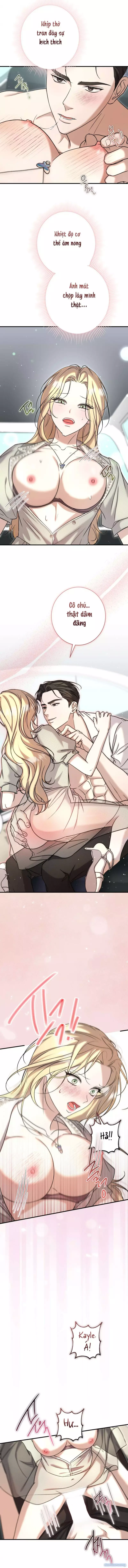 Cô Tiểu Thư Quá Đỗi Tò Mò - Chap 4 - Trang 11