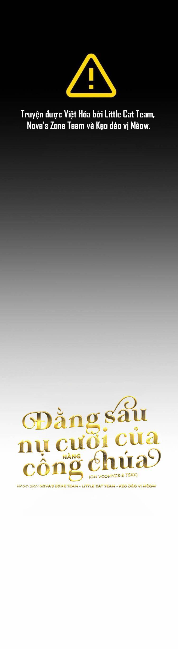 Đằng Sau Nụ Cười Của Nàng Công Chúa - Chap 11 - Trang 2