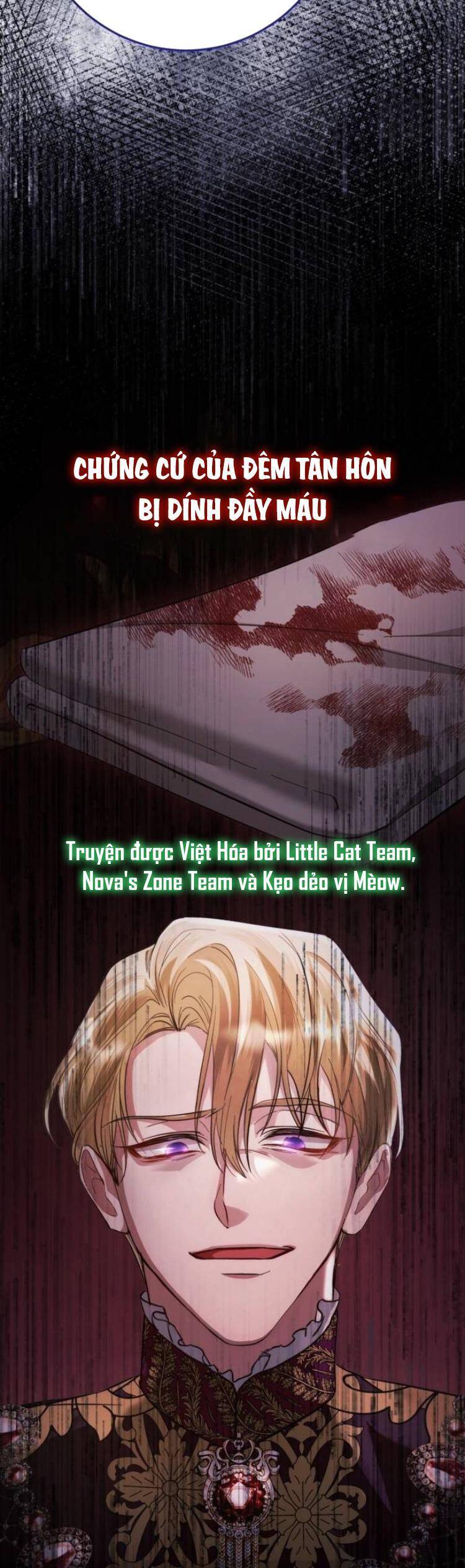 Đằng Sau Nụ Cười Của Nàng Công Chúa - Chap 11 - Trang 11