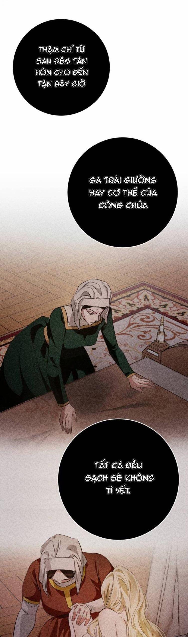 Đằng Sau Nụ Cười Của Nàng Công Chúa - Chap 11 - Trang 13