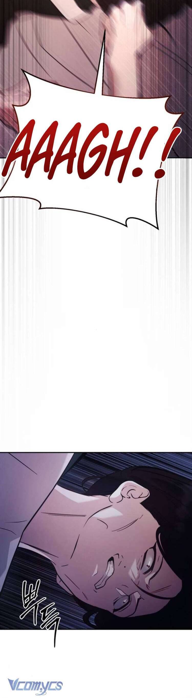 Đằng Sau Nụ Cười Của Nàng Công Chúa - Chap 13 - Trang 25