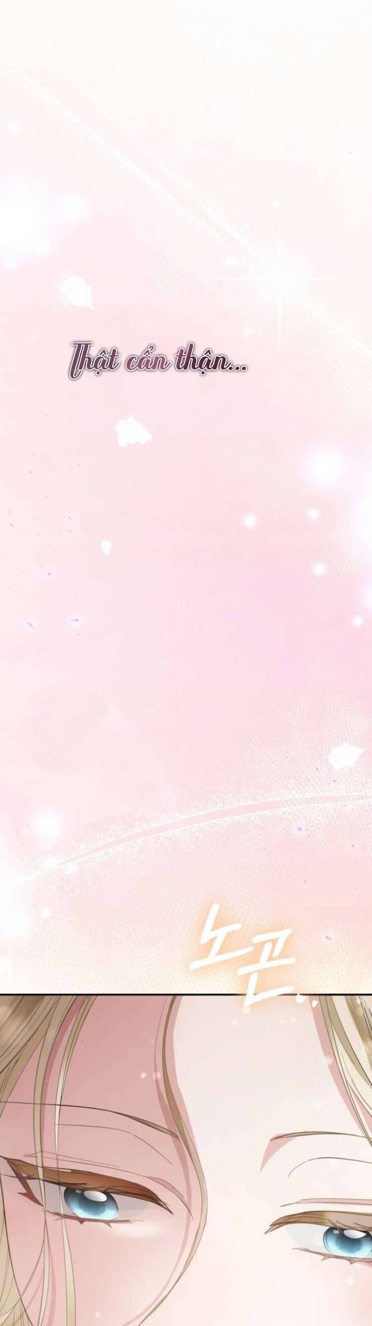 Đằng Sau Nụ Cười Của Nàng Công Chúa - Chap 14 - Trang 11