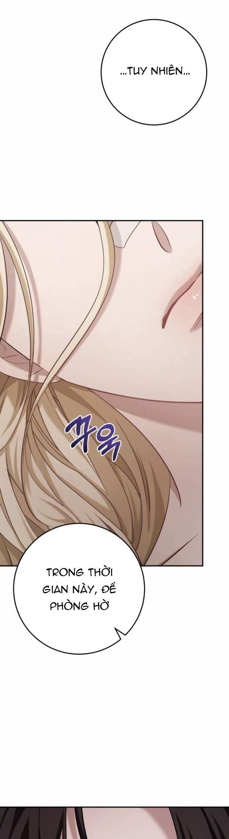 Đằng Sau Nụ Cười Của Nàng Công Chúa - Chap 18 - Trang 21