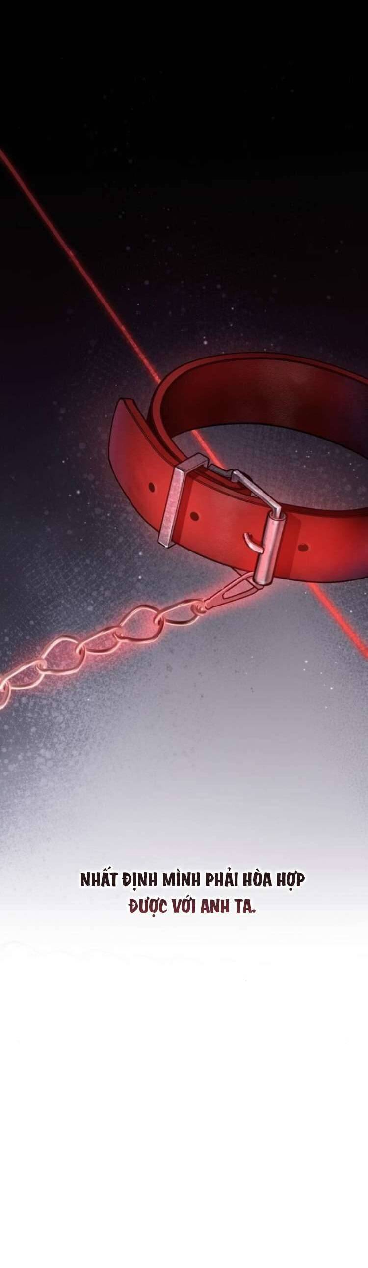 Đằng Sau Nụ Cười Của Nàng Công Chúa - Chap 25 - Trang 12