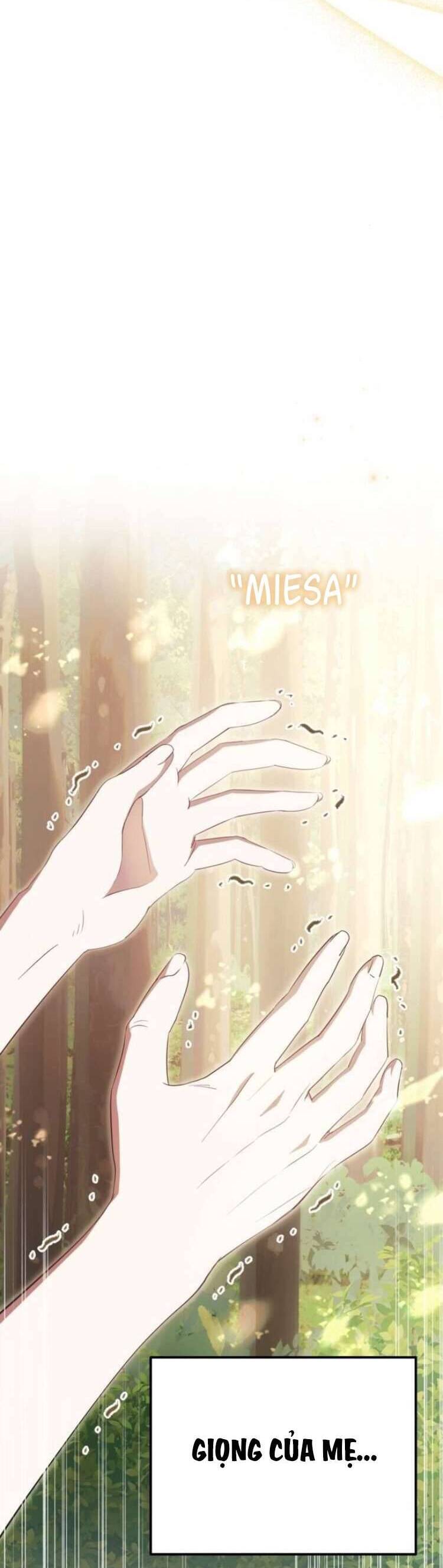 Đằng Sau Nụ Cười Của Nàng Công Chúa - Chap 41 - Trang 19