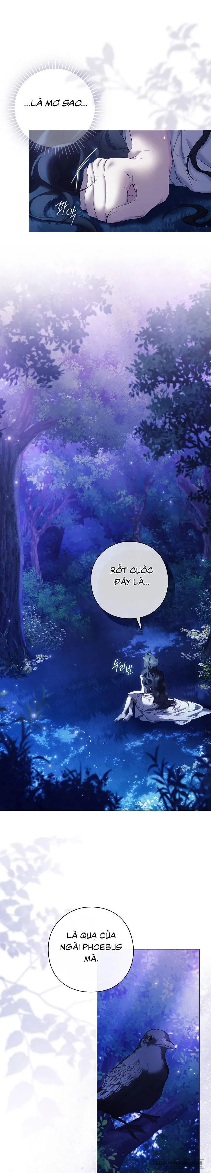 Dành Cho Các Nữ Thần: Dành Cho Daphne - Chap 6 - Trang 11