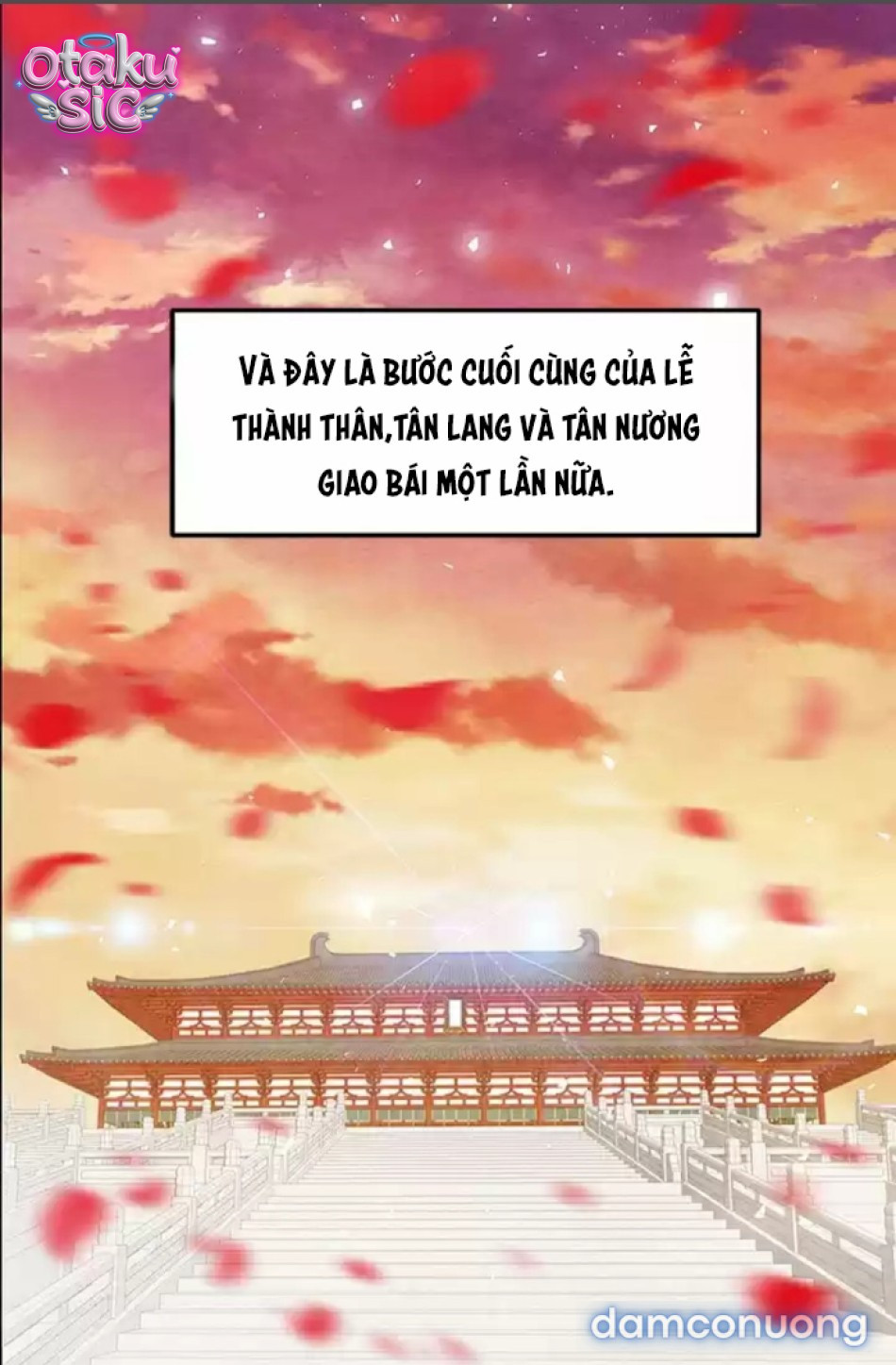 Đêm Hoang Dại - Chap 22 - Trang 29
