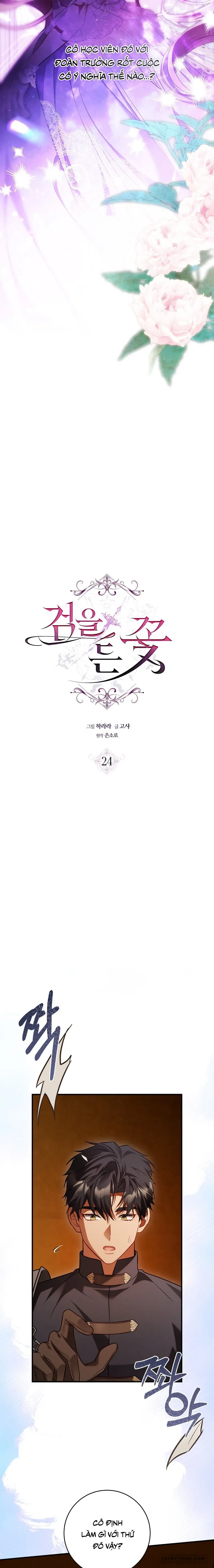 Đóa Hoa Cầm Kiếm - Chap 24 - Trang 5